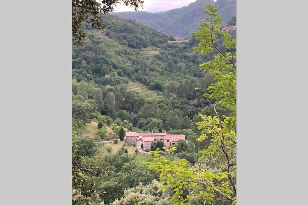 Villa Mas Historique Du Xve Cevennes Saint-Paul-la-Coste Exterior foto